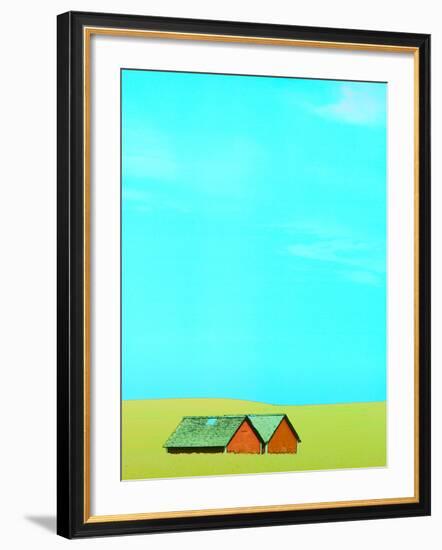 Red Barns in Yellow Field-null-Framed Photographic Print