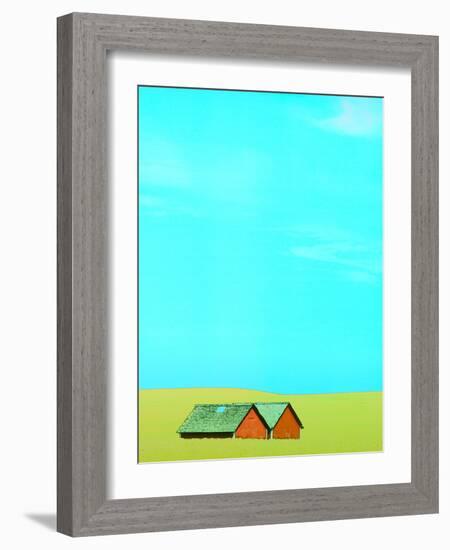 Red Barns in Yellow Field-null-Framed Photographic Print