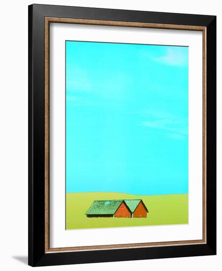 Red Barns in Yellow Field-null-Framed Photographic Print