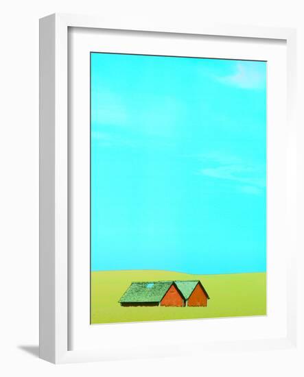 Red Barns in Yellow Field-null-Framed Photographic Print