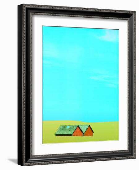 Red Barns in Yellow Field-null-Framed Photographic Print