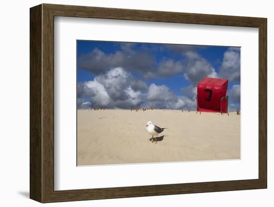 Red Beach Chair in the Dunes, Gull-Uwe Steffens-Framed Photographic Print