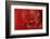 Red Begonia Abstract-Anna Miller-Framed Photographic Print
