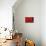 Red Begonia Abstract-Anna Miller-Mounted Photographic Print displayed on a wall