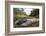 Red-bellied blacksnake basking, Victoria, Australia-Robert Valentic-Framed Photographic Print