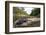 Red-bellied blacksnake basking, Victoria, Australia-Robert Valentic-Framed Photographic Print