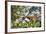 Red Bellied Lemur (Eulemur Rubriventer), Ranomafana National Park, Madagascar Central Highlands-Matthew Williams-Ellis-Framed Photographic Print