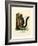 Red-Bellied Squirrel-null-Framed Giclee Print