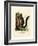 Red-Bellied Squirrel-null-Framed Giclee Print