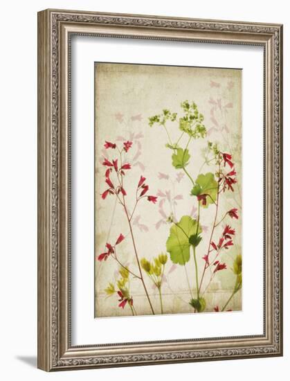 Red Bells-Judy Stalus-Framed Art Print