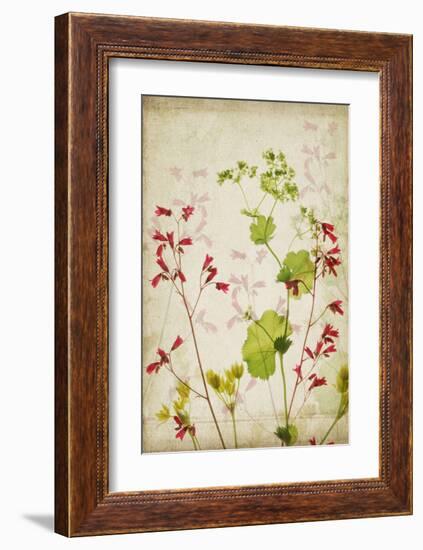 Red Bells-Judy Stalus-Framed Art Print