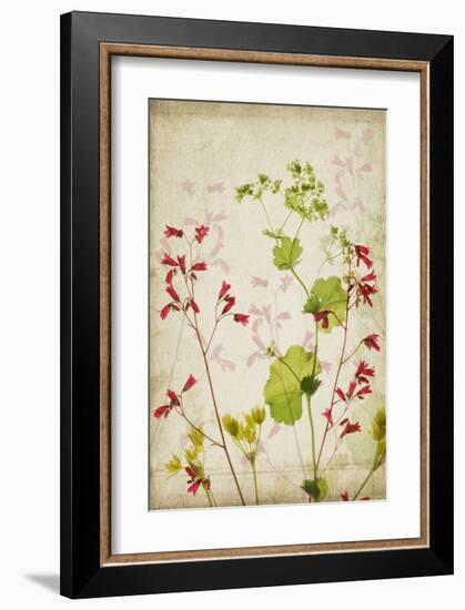 Red Bells-Judy Stalus-Framed Art Print