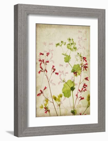 Red Bells-Judy Stalus-Framed Art Print