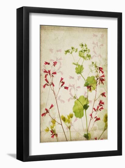 Red Bells-Judy Stalus-Framed Art Print