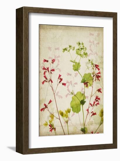 Red Bells-Judy Stalus-Framed Art Print