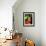 Red Belly Turtle-David Northcott-Framed Photographic Print displayed on a wall