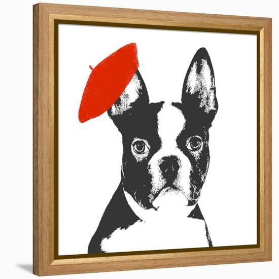 Red Beret Dog-Sd Graphics Studio-Framed Stretched Canvas