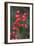 Red Berries 2-Erin Berzel-Framed Photographic Print