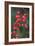 Red Berries 2-Erin Berzel-Framed Photographic Print