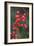 Red Berries 2-Erin Berzel-Framed Photographic Print