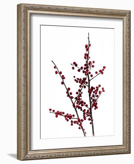 Red Berries 2-Mareike Böhmer-Framed Photographic Print