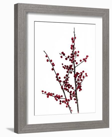 Red Berries 2-Mareike Böhmer-Framed Photographic Print