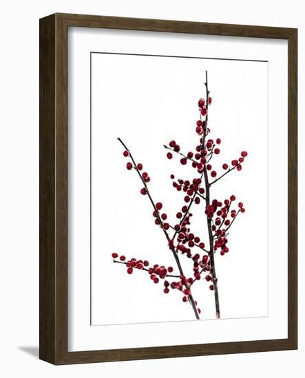 Red Berries 2-Mareike Böhmer-Framed Photographic Print