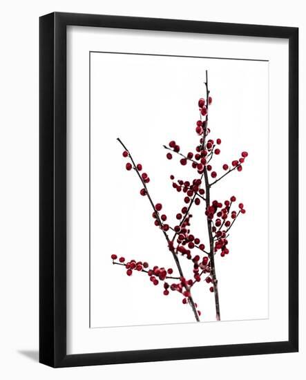 Red Berries 2-Mareike Böhmer-Framed Photographic Print