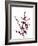 Red Berries 2-Mareike Böhmer-Framed Photographic Print