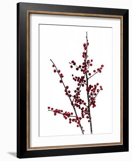 Red Berries 2-Mareike Böhmer-Framed Photographic Print