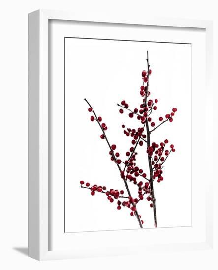 Red Berries 2-Mareike Böhmer-Framed Photographic Print