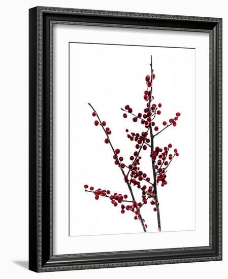 Red Berries 2-Mareike Böhmer-Framed Photographic Print