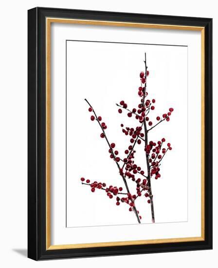 Red Berries 2-Mareike Böhmer-Framed Photographic Print