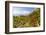 Red berries in cultivated fields, Pomonte, Marciana, Elba Island, Livorno Province, Tuscany, Italy,-Roberto Moiola-Framed Photographic Print