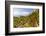 Red berries in cultivated fields, Pomonte, Marciana, Elba Island, Livorno Province, Tuscany, Italy,-Roberto Moiola-Framed Photographic Print