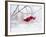 Red Berries in Snow-null-Framed Photographic Print