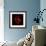 Red Betta Fish-null-Framed Photographic Print displayed on a wall