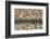 Red-billed quelea (Quelea quelea) flocking at water, Kgalagadi Transfrontier Park, South Africa, Af-Ann and Steve Toon-Framed Photographic Print