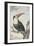 Red-billed Toucan, 1748-Aert Schouman-Framed Giclee Print