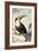 Red-billed Toucan, c. 1748-Aert Schouman-Framed Art Print