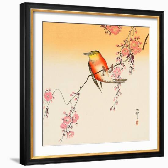 Red Bird and Cherry Blossoms-Koson Ohara-Framed Giclee Print