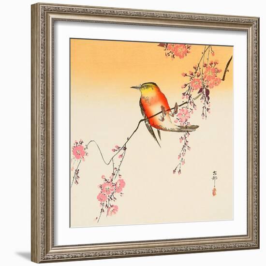 Red Bird and Cherry Blossoms-Koson Ohara-Framed Giclee Print