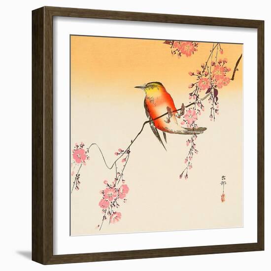 Red Bird and Cherry Blossoms-Koson Ohara-Framed Giclee Print