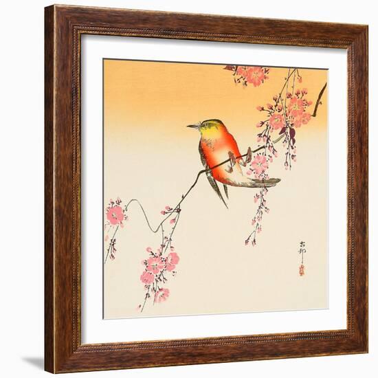 Red Bird and Cherry Blossoms-Koson Ohara-Framed Giclee Print