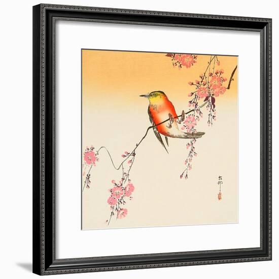 Red Bird and Cherry Blossoms-Koson Ohara-Framed Giclee Print