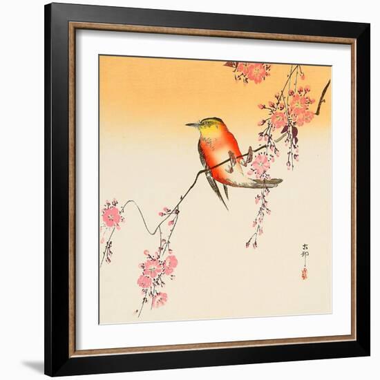 Red Bird and Cherry Blossoms-Koson Ohara-Framed Giclee Print