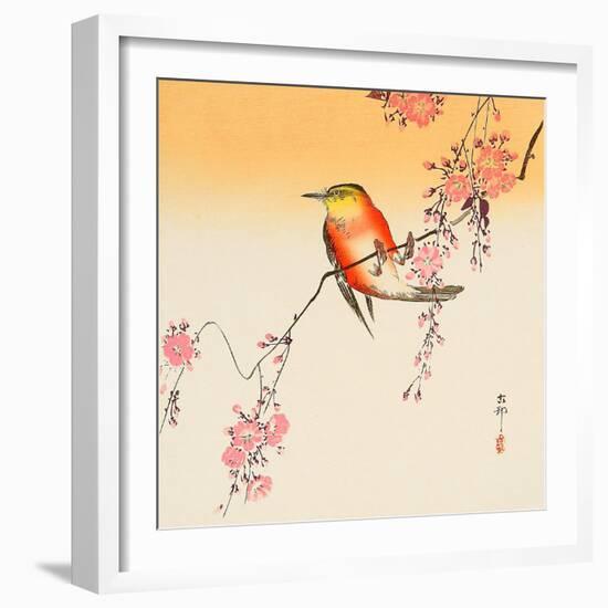 Red Bird and Cherry Blossoms-Koson Ohara-Framed Giclee Print