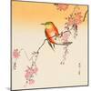 Red Bird and Cherry Blossoms-Koson Ohara-Mounted Giclee Print