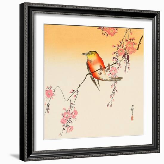 Red Bird and Cherry Blossoms-Koson Ohara-Framed Giclee Print