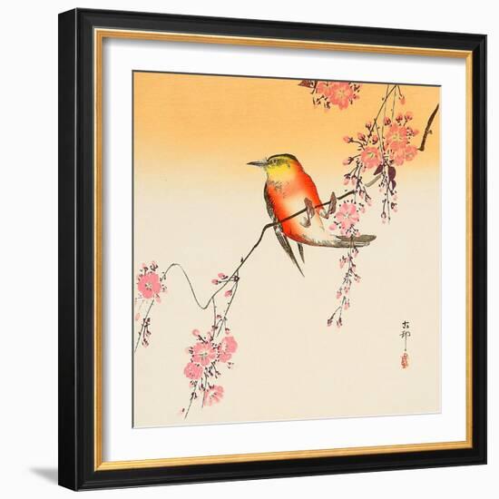 Red Bird and Cherry Blossoms-Koson Ohara-Framed Giclee Print